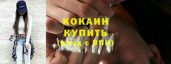 мдпв Михайлов