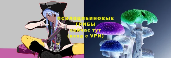 мдма Михайловск