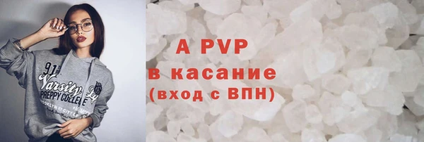 прущие грибы Михайловка