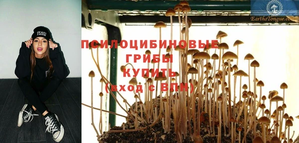 прущие грибы Михайловка