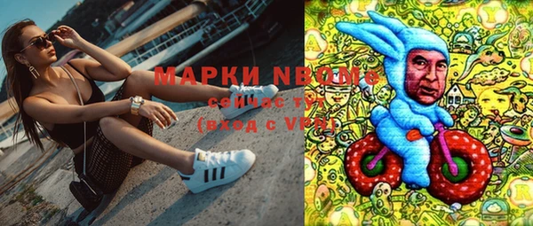 прущие грибы Михайловка