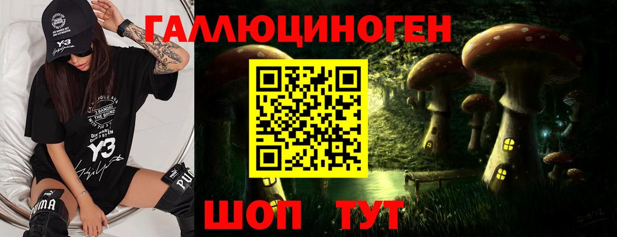 Астрахань  Псилоцибиновые грибы MAGIC MUSHROOMS  Вход с VPN 