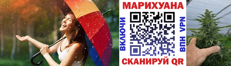 купить закладку Астрахань Шишки марихуана SATIVA & INDICA